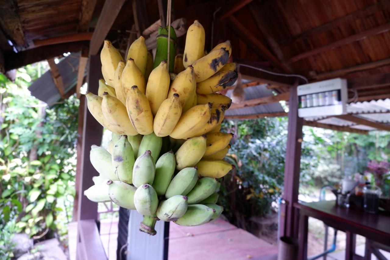 Song Lao Guesthouse Thakhek Luaran gambar