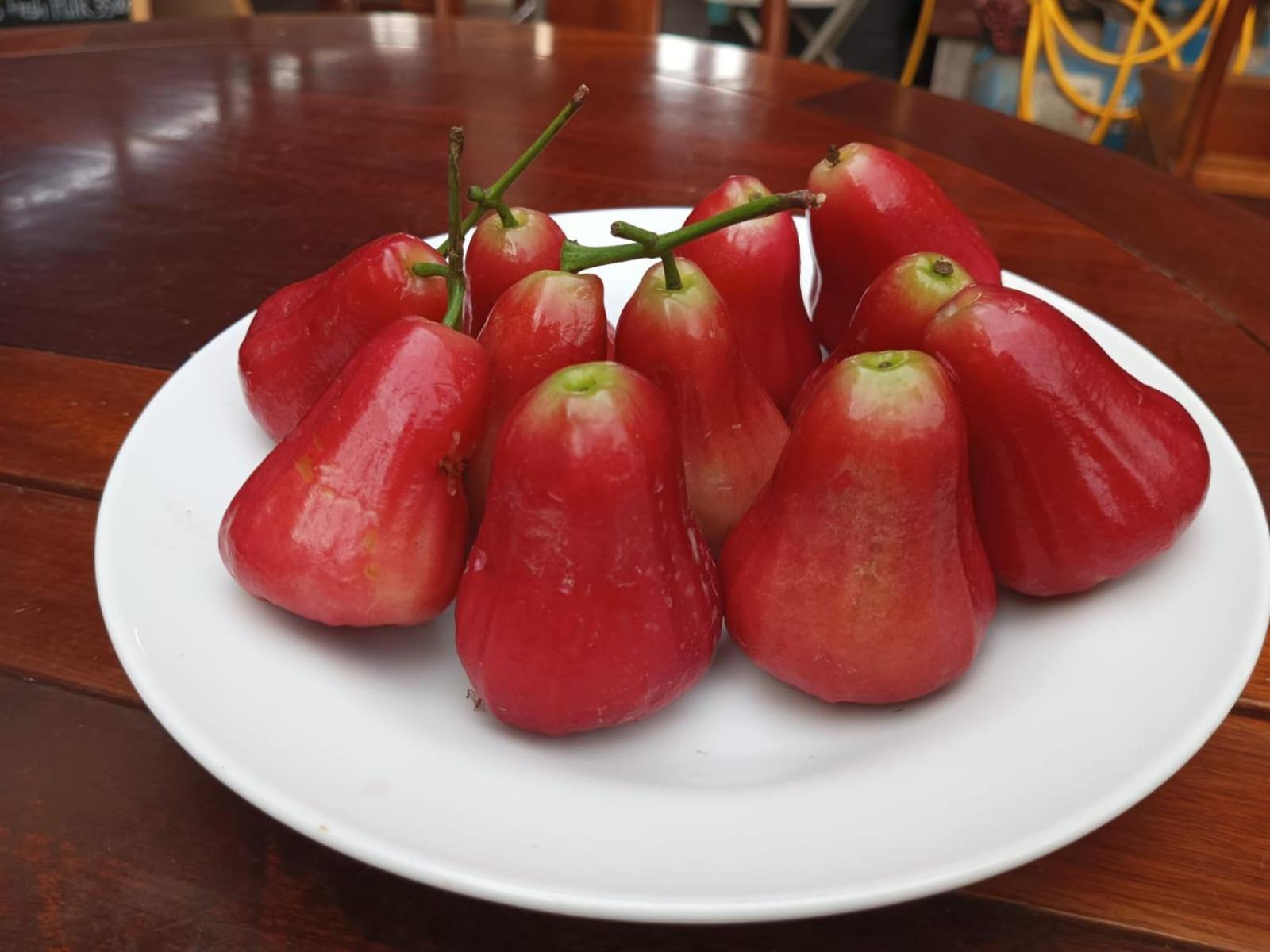 Song Lao Guesthouse Thakhek Luaran gambar